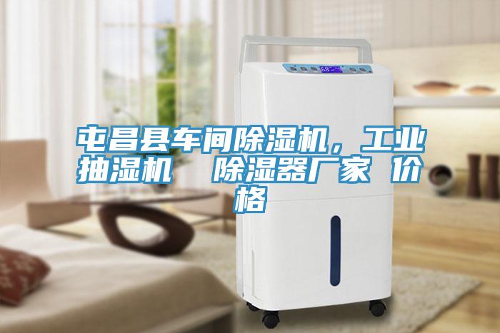 屯昌縣車(chē)間除濕機(jī)，工業(yè)抽濕機(jī)  除濕器廠家 價(jià)格