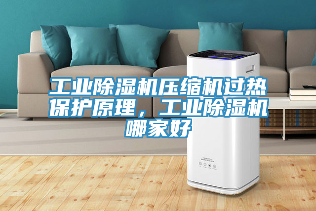 工業(yè)除濕機(jī)壓縮機(jī)過(guò)熱保護(hù)原理，工業(yè)除濕機(jī)哪家好