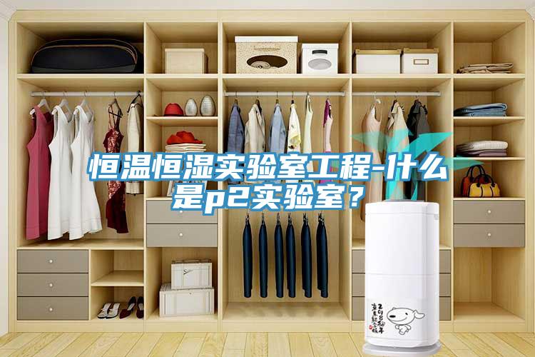 恒溫恒濕實(shí)驗(yàn)室工程-什么是p2實(shí)驗(yàn)室？