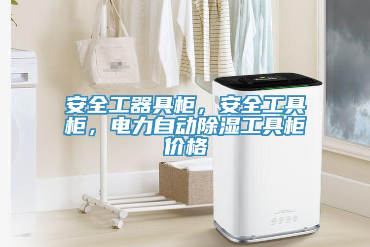 安全工器具柜，安全工具柜，電力自動除濕工具柜價格
