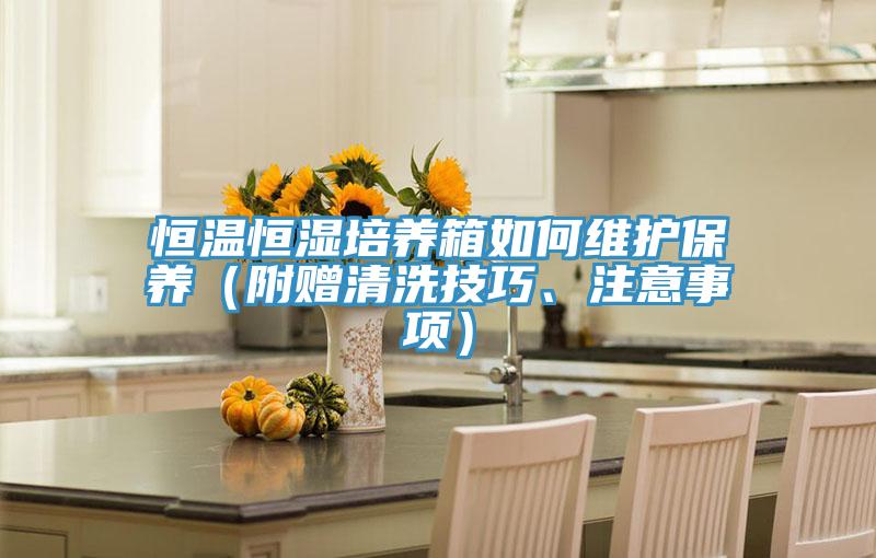 恒溫恒濕培養(yǎng)箱如何維護(hù)保養(yǎng)（附贈清洗技巧、注意事項(xiàng)）