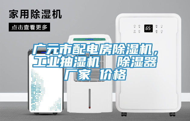 廣元市配電房除濕機(jī)，工業(yè)抽濕機(jī)  除濕器廠家 價(jià)格