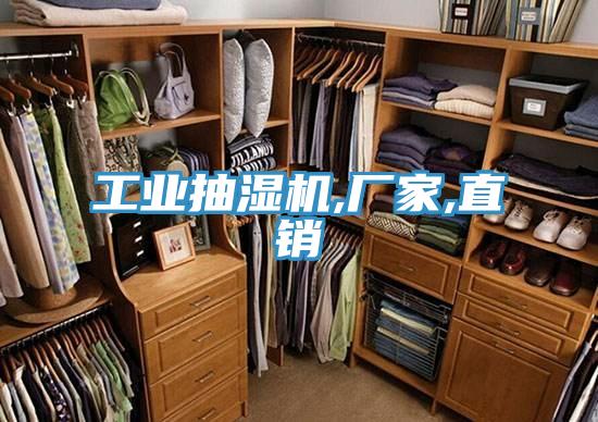 工業(yè)抽濕機(jī),廠家,直銷(xiāo)