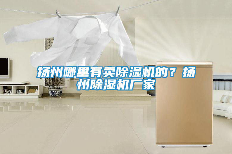 揚(yáng)州哪里有賣除濕機(jī)的？揚(yáng)州除濕機(jī)廠家