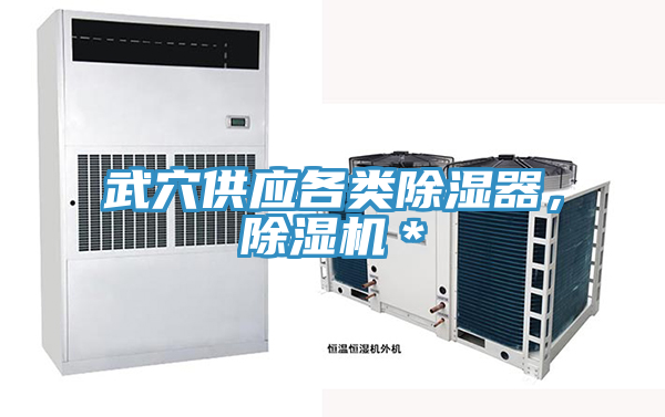 武穴供應(yīng)各類除濕器，除濕機(jī)＊