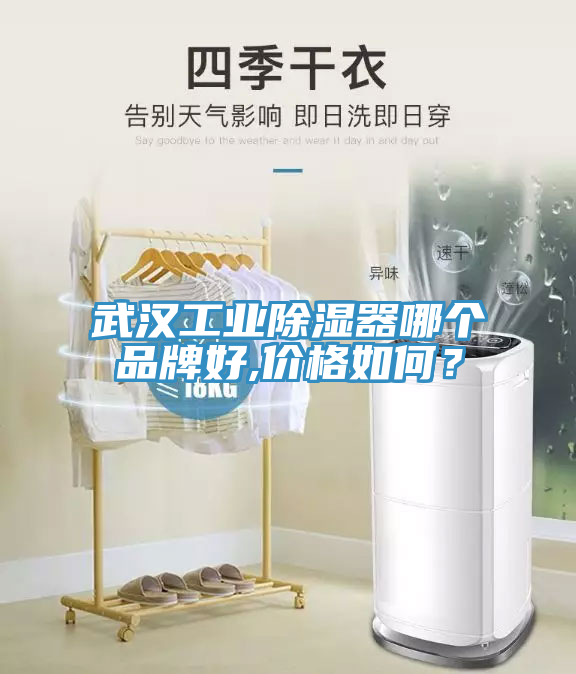 武漢工業(yè)除濕器哪個品牌好,價格如何？