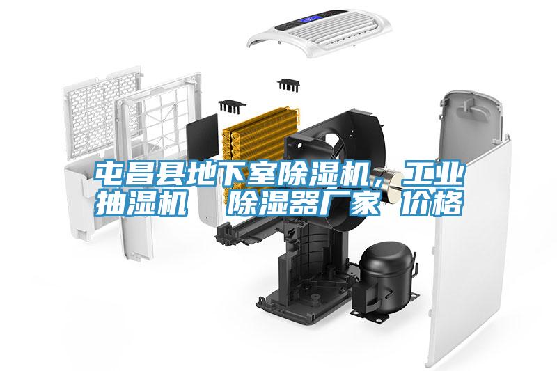 屯昌縣地下室除濕機(jī)，工業(yè)抽濕機(jī)  除濕器廠家 價(jià)格