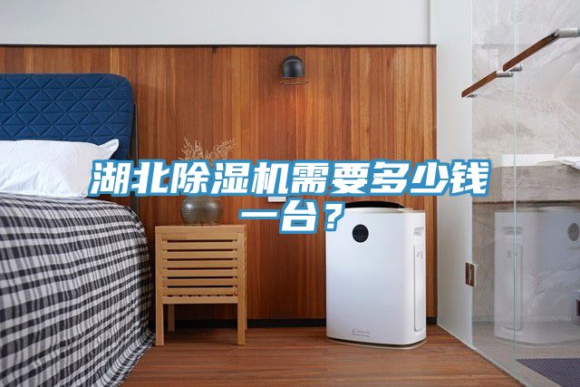 湖北除濕機需要多少錢一臺？