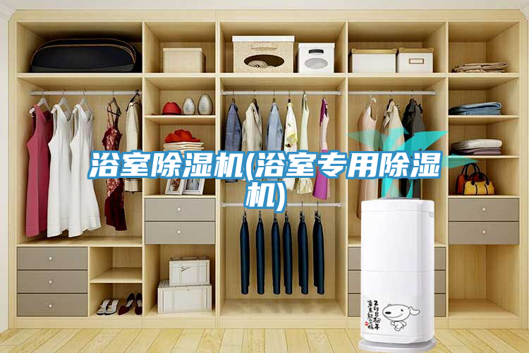 浴室除濕機(jī)(浴室專(zhuān)用除濕機(jī))