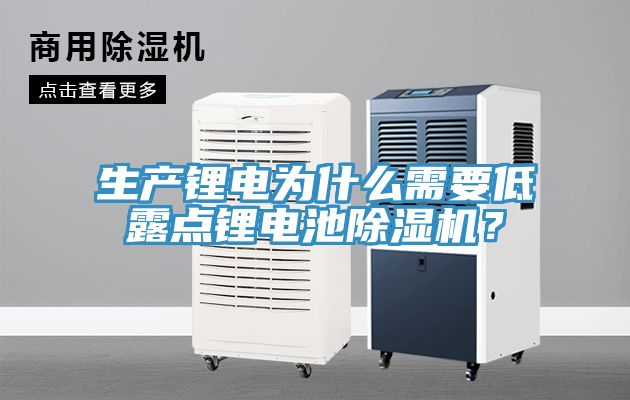 生產(chǎn)鋰電為什么需要低露點鋰電池除濕機？