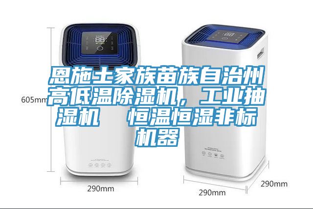 恩施土家族苗族自治州高低溫除濕機(jī)，工業(yè)抽濕機(jī)  恒溫恒濕非標(biāo)機(jī)器