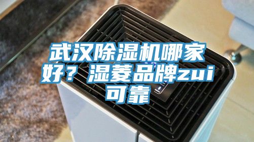 武漢除濕機(jī)哪家好？濕菱品牌zui可靠