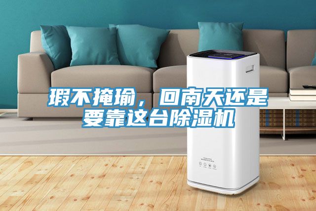 瑕不掩瑜，回南天還是要靠這臺除濕機(jī)