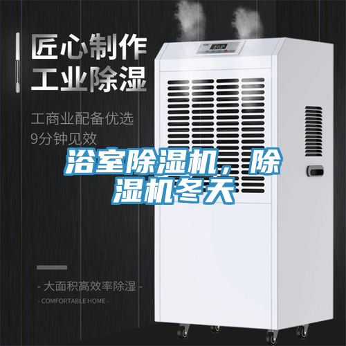 浴室除濕機(jī)，除濕機(jī)冬天