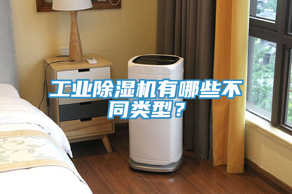工業(yè)除濕機(jī)有哪些不同類型？