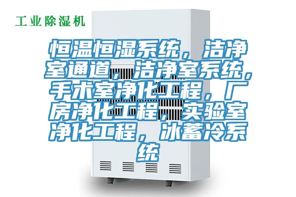 恒溫恒濕系統(tǒng)，潔凈室通道，潔凈室系統(tǒng)，手術(shù)室凈化工程，廠房?jī)艋こ蹋瑢?shí)驗(yàn)室凈化工程，冰蓄冷系統(tǒng)