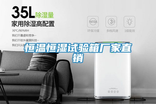 恒溫恒濕試驗(yàn)箱廠家直銷(xiāo)