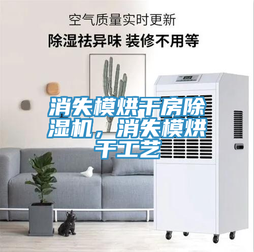 消失模烘干房除濕機，消失模烘干工藝