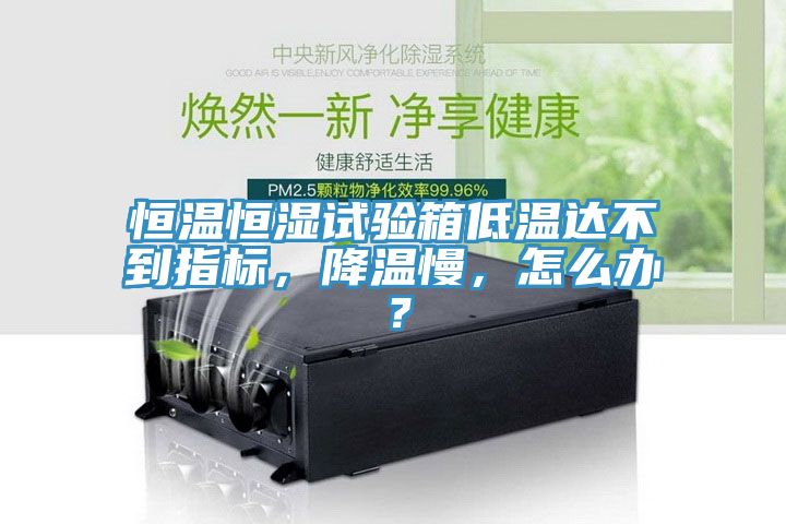 恒溫恒濕試驗箱低溫達(dá)不到指標(biāo)，降溫慢，怎么辦？
