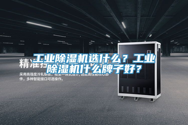 工業(yè)除濕機(jī)選什么？工業(yè)除濕機(jī)什么牌子好？