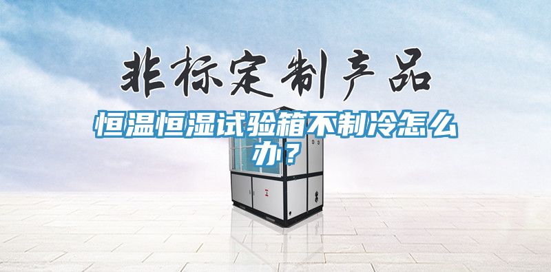 恒溫恒濕試驗(yàn)箱不制冷怎么辦？