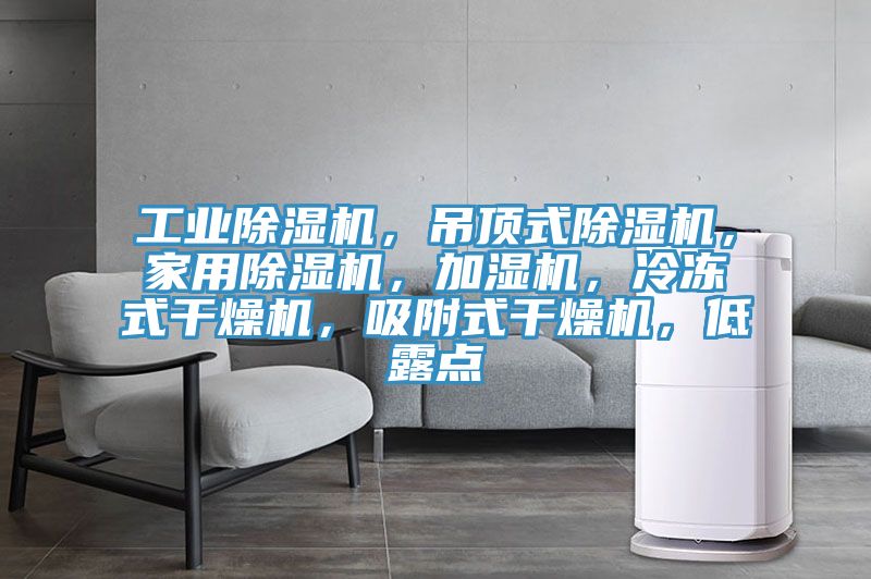 工業(yè)除濕機，吊頂式除濕機，家用除濕機，加濕機，冷凍式干燥機，吸附式干燥機，低露點