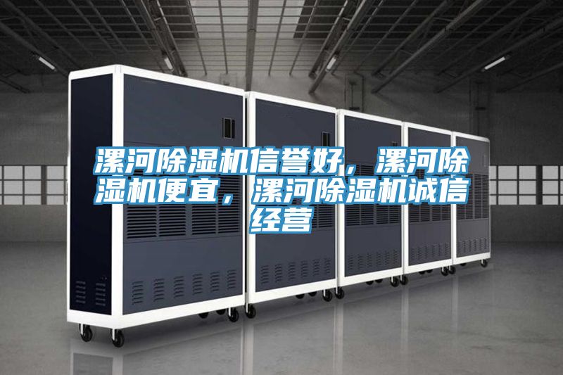 漯河除濕機信譽好，漯河除濕機便宜，漯河除濕機誠信經(jīng)營