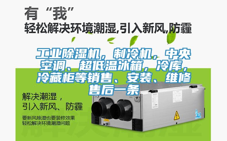 工業(yè)除濕機，制冷機，中央空調(diào)、超低溫冰箱，冷庫，冷藏柜等銷售、安裝、維修售后一條