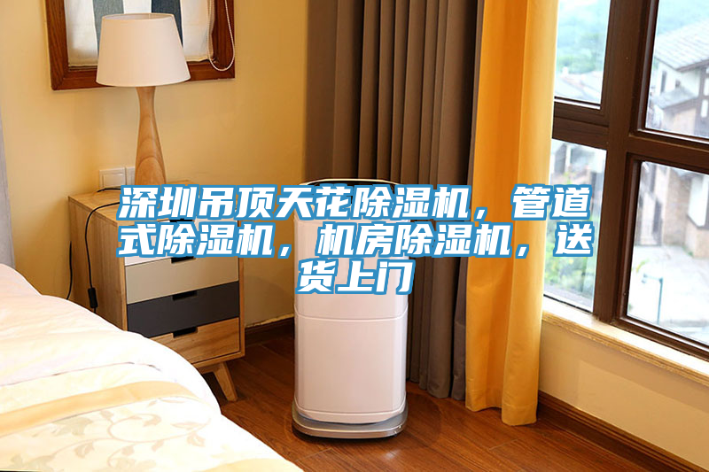 深圳吊頂天花除濕機(jī)，管道式除濕機(jī)，機(jī)房除濕機(jī)，送貨上門