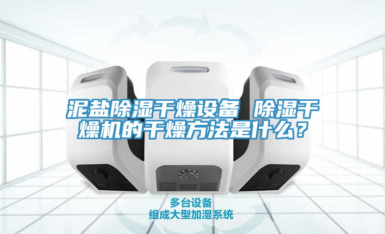 泥鹽除濕干燥設(shè)備 除濕干燥機的干燥方法是什么？