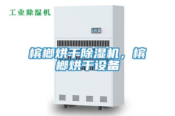 檳榔烘干除濕機(jī)，檳榔烘干設(shè)備