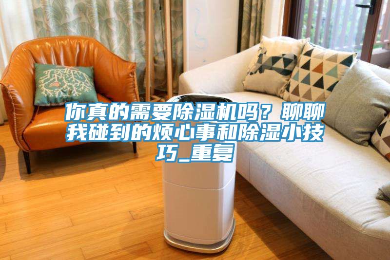 你真的需要除濕機嗎？聊聊我碰到的煩心事和除濕小技巧_重復(fù)