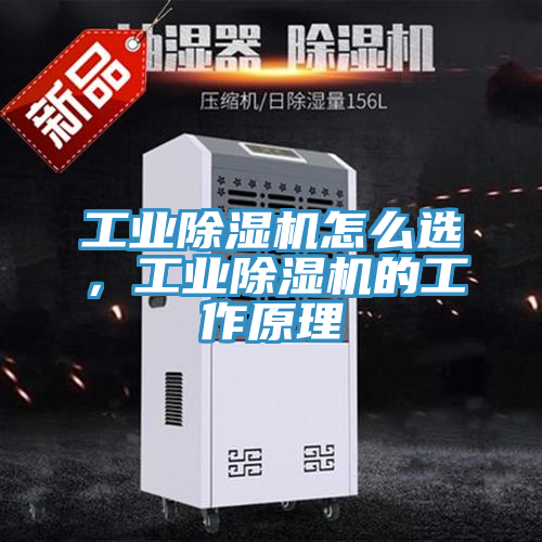 工業(yè)除濕機(jī)怎么選，工業(yè)除濕機(jī)的工作原理