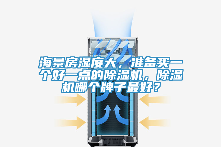 海景房濕度大，準(zhǔn)備買(mǎi)一個(gè)好一點(diǎn)的除濕機(jī)，除濕機(jī)哪個(gè)牌子最好？