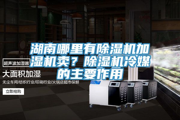 湖南哪里有除濕機加濕機賣？除濕機冷媒的主要作用