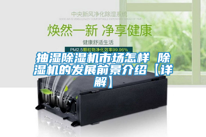 抽濕除濕機市場怎樣 除濕機的發(fā)展前景介紹【詳解】