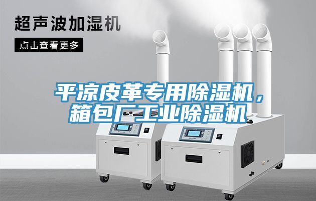 平?jīng)銎じ飳Ｓ贸凉駲C(jī)，箱包廠工業(yè)除濕機(jī)