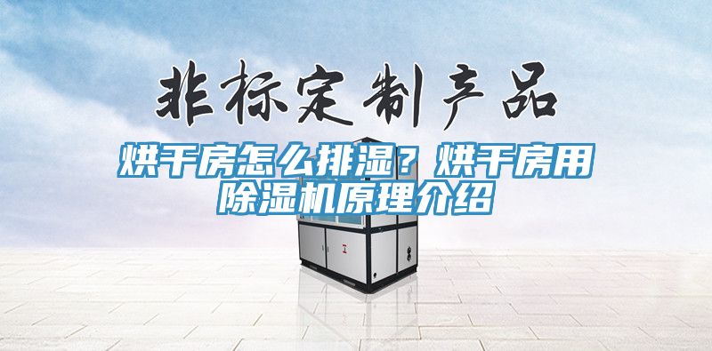 烘干房怎么排濕？烘干房用除濕機(jī)原理介紹