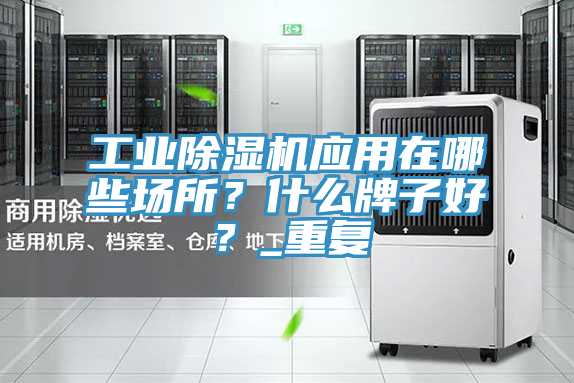 工業(yè)除濕機(jī)應(yīng)用在哪些場(chǎng)所？什么牌子好？_重復(fù)