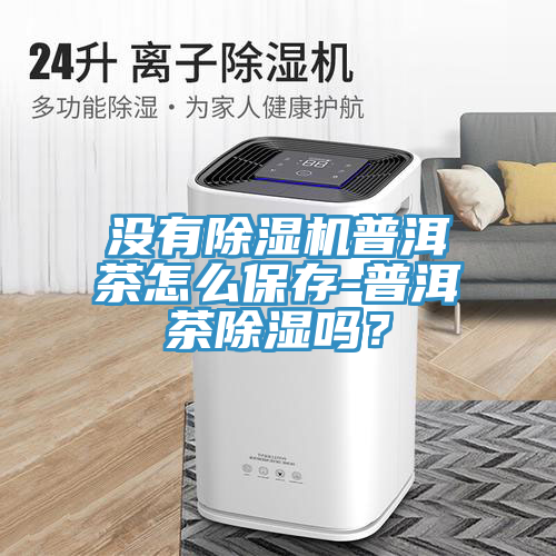沒有除濕機普洱茶怎么保存-普洱茶除濕嗎？