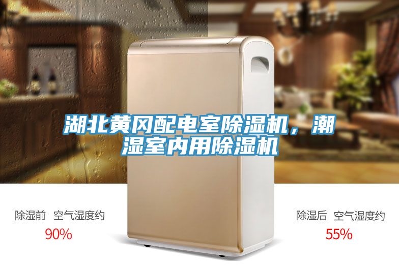 湖北黃岡配電室除濕機，潮濕室內(nèi)用除濕機