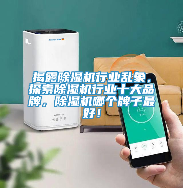 揭露除濕機(jī)行業(yè)亂象，探索除濕機(jī)行業(yè)十大品牌，除濕機(jī)哪個(gè)牌子最好！