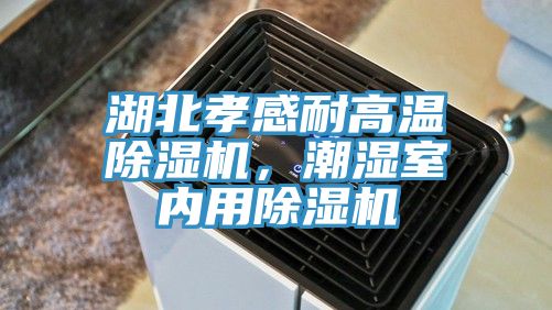 湖北孝感耐高溫除濕機，潮濕室內(nèi)用除濕機