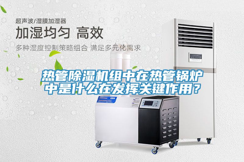 熱管除濕機(jī)組中在熱管鍋爐中是什么在發(fā)揮關(guān)鍵作用？