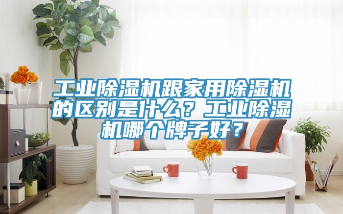 工業(yè)除濕機(jī)跟家用除濕機(jī)的區(qū)別是什么？工業(yè)除濕機(jī)哪個(gè)牌子好？