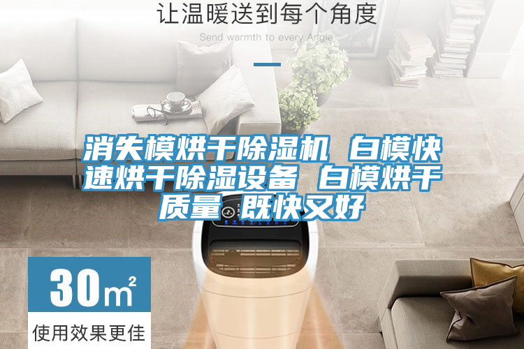 消失模烘干除濕機 白?？焖俸娓沙凉裨O備 白模烘干質(zhì)量 既快又好