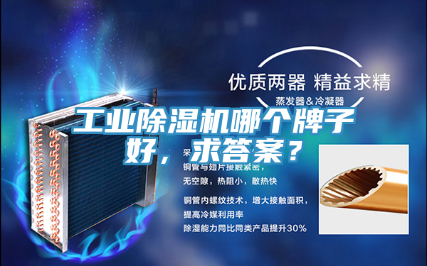 工業(yè)除濕機哪個牌子好，求答案？