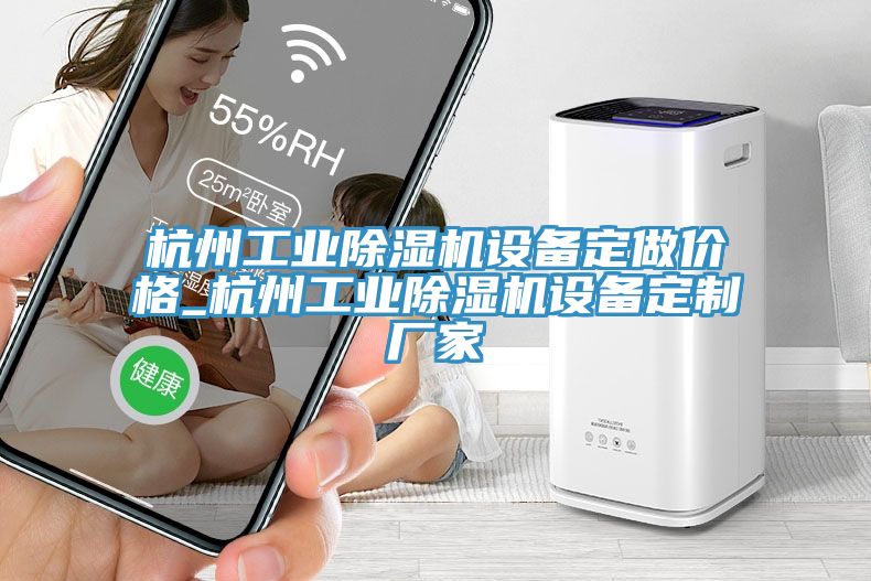 杭州工業(yè)除濕機設備定做價格_杭州工業(yè)除濕機設備定制廠家