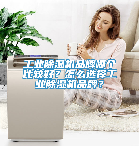 工業(yè)除濕機(jī)品牌哪個(gè)比較好？怎么選擇工業(yè)除濕機(jī)品牌？