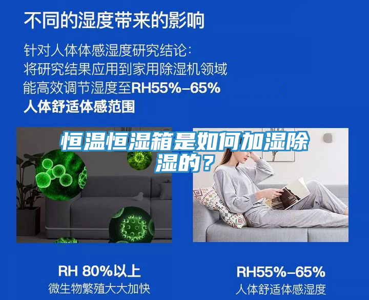 恒溫恒濕箱是如何加濕除濕的？